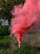 Dýmovnice růžová - Je to holka!