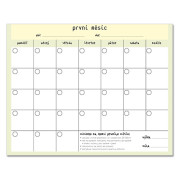 Můj První Rok kalendář Anne Geddes