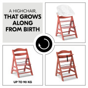 Jídelní dřevená židle Hauck Alpha+