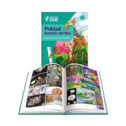 Kouzelné čtení Gamebook Poklad lesních skřítků Albi
