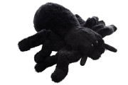 Plyšový pavouk černý 14 cm Eco-friendly