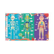 Jak funguje lidské tělo? Albi