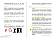 Montessori pro (ne)chápavé (3–6 let)