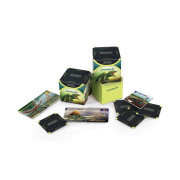 Vědomostní pexeso - Dinosauři Albi