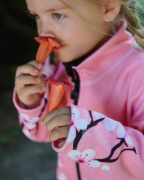 Fleecová mikina dětská Sakury růžová Wamu 