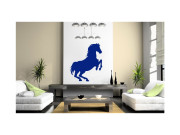 Samolepka na zeď Kůň