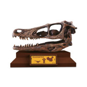 Lovci lebek Albi - Velociraptor