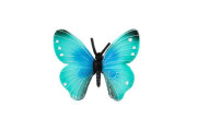 Motýl tropický Morpho Helena zooted plast 7 cm