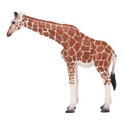 Mojo Žirafí samice