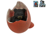 Medvěd černý líhnoucí a rostoucí 