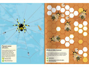Můj samolepkový sešit o přírodě Hmyz ze zahrady
