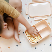 Krabička na jídlo Bento Recycled 3 Sprouts