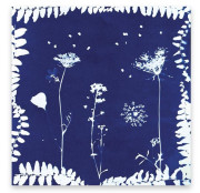 Deco XXL sada s aktivitami Herbář Janod Atelier 