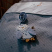 Muchláček na šidítko sova Forest Friends Little Dutch