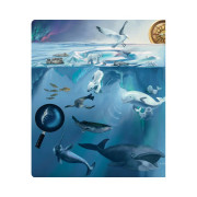 Kouzelné čtení kniha Tajemství moří a oceánů Albi