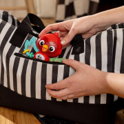Hračka hudební senzorická Roxy's Bright Flight™ 3 m+ Baby Einstein