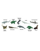 Tuba - Ohrožené mořské druhy