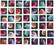 Společenská hra pro děti Plush-o-Mat od 6 let Haba 