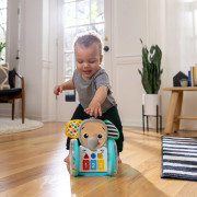 Hračka hudební interaktivní Chase & Tap Earl™ 6 m+ Baby Einstein