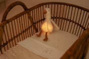 Usínáček husa Newborn Naturals Little Dutch