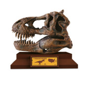 Lovci Lebek Albi - Tyrannosaurus