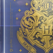 Box na salát To Go 1810 ml Harry Potter