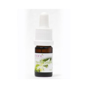 Neroli v jojobě BIO 3 ml