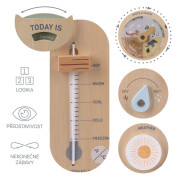 Dřevěná Montessori deska Počasí