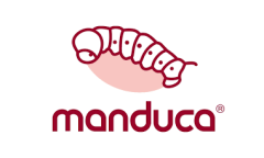 Manduca (Wickelkinder)