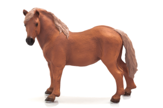 Mojo Suffolk punch klisna