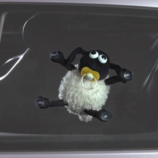 Ovečka Timmy na sklo Golden Bear