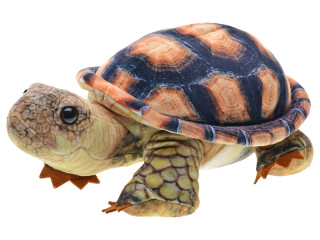 Želva plyšová 25 cm stojící 0 m+