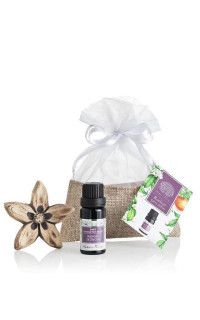 Sada Radost pro tebe Nobilis Tilia