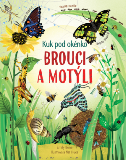 Brouci a motýli