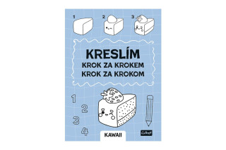Pracovní sešit Kreslím krok za krokem