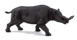 Mojo Brontotherium