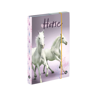 Box na sešity A5 kůň