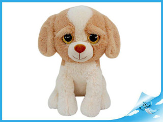 Plyšový pejsek s velkýma očima