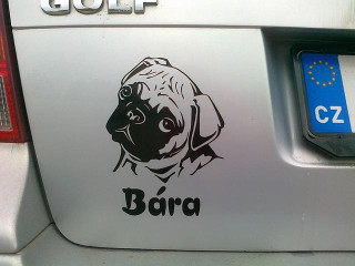 Nálepka na auto - "pes v autě" se jménem a obrázkem dle vlastního výběru