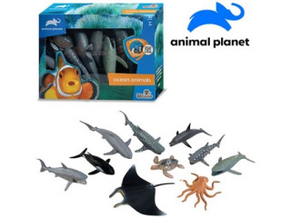 Zvířátka - mořská 10 ks, mobilní aplikace pro zobrazení zvířátek