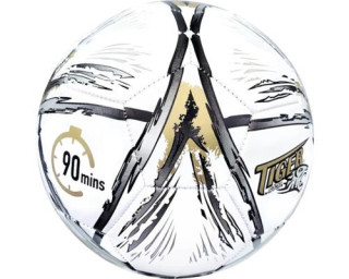 Míč fotbalový, velikost 5, stříbrno-zlatý