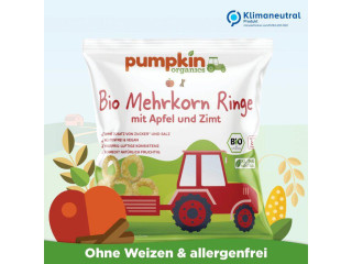 BIO Vícezrnné kroužky s jablkem a skořicí 20 g 8 m+
