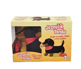 Jezevčík chodící