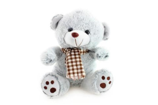 Plyšový Medvěd