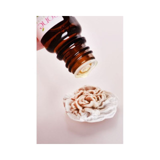 Karafiát - absorber a odpařovač silic