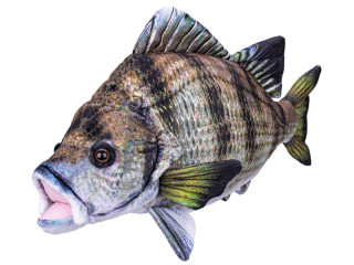 Kapr plyšový 45 cm 0 m+