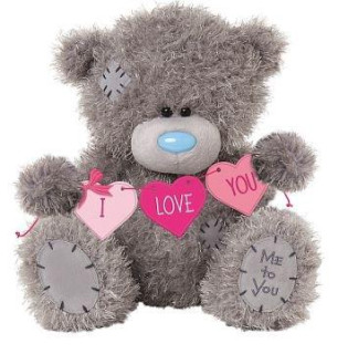 Medvídek Me to You - Srdíčka Albi