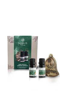 Sada kouzlo zimního domova