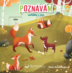 Poznávám zvířátka v lese