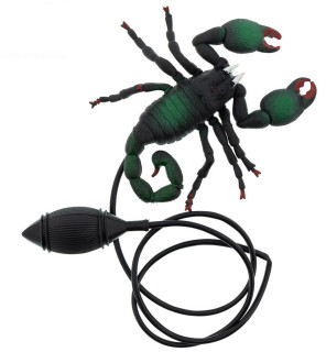 Škorpion skákající 12cm